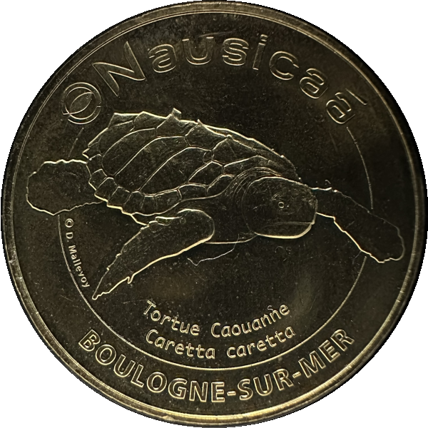 Boulogne sur Mer - Nausicaá (Tortue caouanne) (recto)