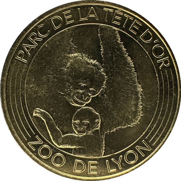 Parc de la Tête d'Or (Zoo de Lyon - Gibbons à favoris blancs) (recto)